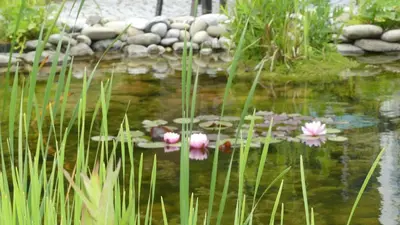 Ein Garten an der Unterkunft Ferienwohnung Mittl