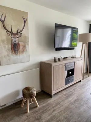 TV/Unterhaltungsangebot in der Unterkunft Apartment BERGliebe - schnuckelig, ruhige und zentrale Lage