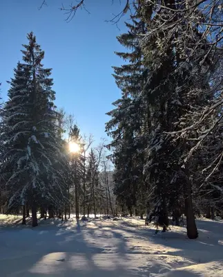 Altes Zollhaus im Winter