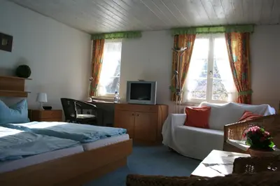TV/Unterhaltungsangebot in der Unterkunft Altes Zollhaus