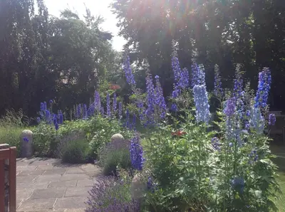 Ein Garten an der Unterkunft Haus Hirt - Idyllisch wohnen zwischen Augsburg und München