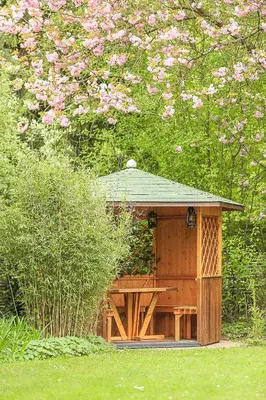 Ein Garten an der Unterkunft Villa Arborea