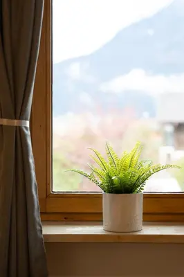Ein allgemeiner Bergblick oder ein Berglick von der Ferienwohnung aus