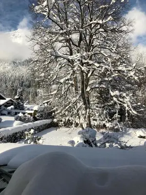 Gästehaus Maria im Winter