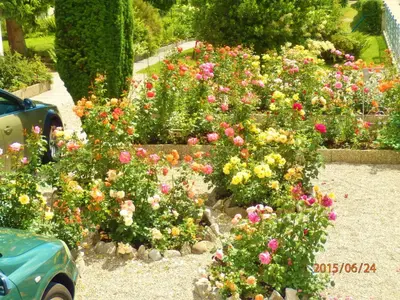 Ein Garten an der Unterkunft Hotel Leonhardihof