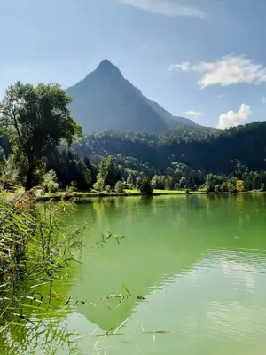 Naturlandschaft in der Nähe des Ferienhauses