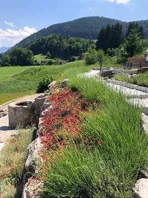 Naturlandschaft in der Nähe der Ferienwohnung