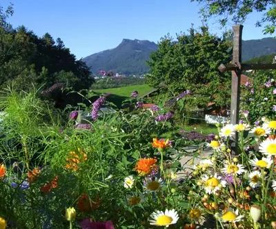 Ein allgemeiner Bergblick oder ein Berglick von der Ferienwohnung aus