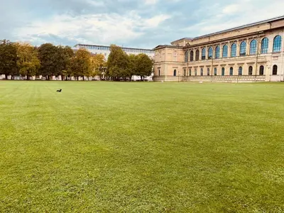 Ein Garten an der Unterkunft Exclusive Maxvorstadt Studio