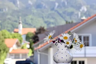 Ein allgemeiner Bergblick oder ein Berglick von des Hotels aus