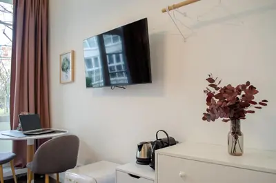 TV/Unterhaltungsangebot in der Unterkunft HOMELY STAY Studio 8 - Relaxed Self-Check-In room in Munich