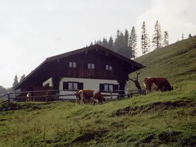 Tiere in diesem Bauernhof oder in der Nähe