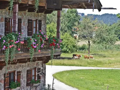 Naturlandschaft in der Nähe der Ferienwohnung