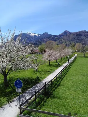 Naturlandschaft in der Nähe der Ferienwohnung