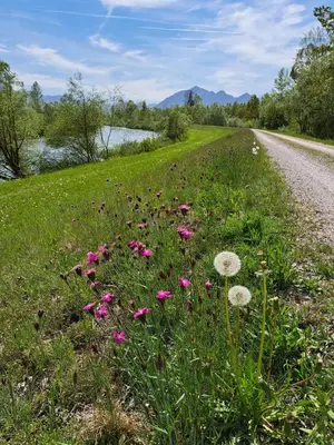 Naturlandschaft in der Nähe der Ferienwohnung