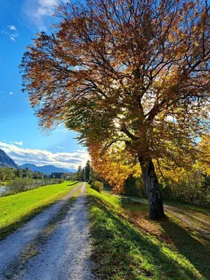 Naturlandschaft in der Nähe der Ferienwohnung
