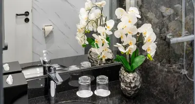 Ein Badezimmer in der Unterkunft PLAZA INN Mühldorf