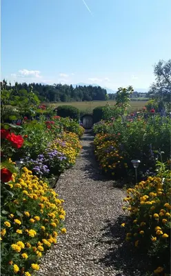Ein Garten an der Unterkunft Karlshof