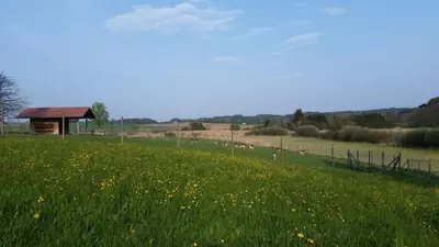 Naturlandschaft in der Nähe des Bauernhofs