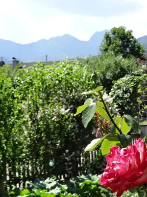 Ein allgemeiner Bergblick oder ein Berglick von der Ferienwohnung aus