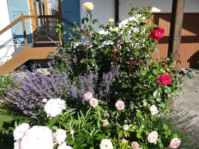 Ein Garten an der Unterkunft Ferienwohnung Riepertinger