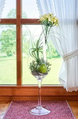 Ein Garten an der Unterkunft Ferienwohnung Wallner