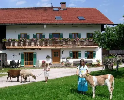 Tiere in diesem Bauernhof oder in der Nähe