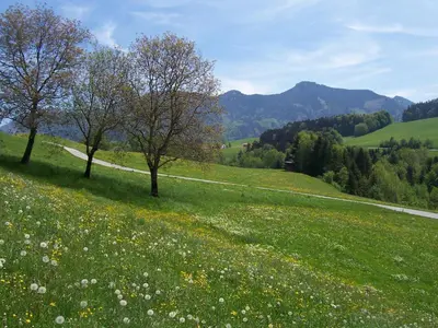 Naturlandschaft in der Nähe der Ferienwohnung