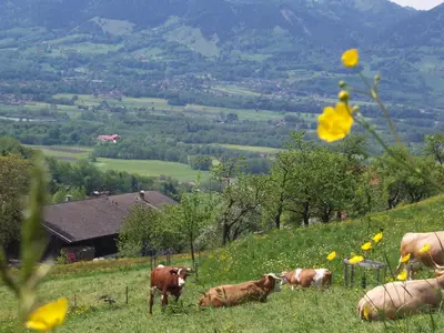 Naturlandschaft in der Nähe der Ferienwohnung