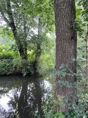 Naturlandschaft in der Nähe des Aparthotels