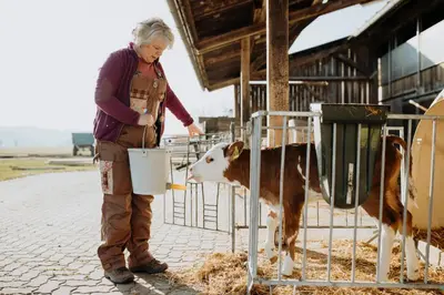 Tiere in der Ferienwohnung oder in der Nähe