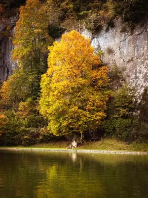 Naturlandschaft in der Nähe der Ferienwohnung