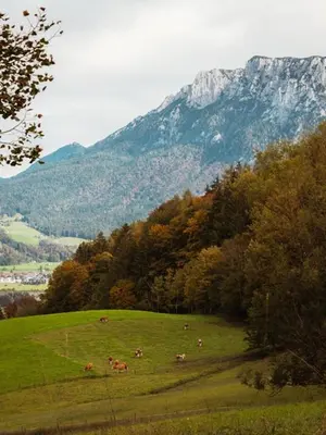 Naturlandschaft in der Nähe der Ferienwohnung