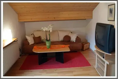 TV/Unterhaltungsangebot in der Unterkunft Ferienwohnung Altendorfer