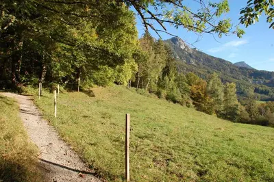 Naturlandschaft in der Nähe der Ferienwohnung