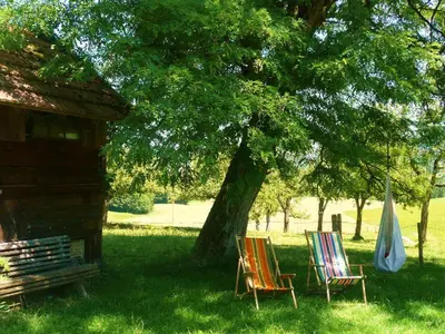 Ein Garten an der Unterkunft Adlerhof
