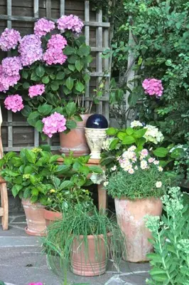 Ein Garten an der Unterkunft Landhaus Binder
