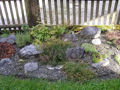 Ein Garten an der Unterkunft Haus Betz