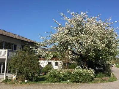 Ein Garten an der Unterkunft Haus Irmgard