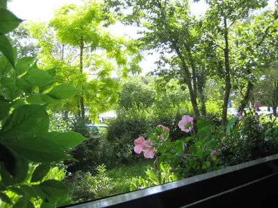 Ein Garten an der Unterkunft Haus an der Therme