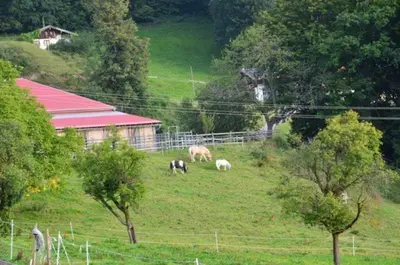Naturlandschaft in der Nähe des Bauernhofs