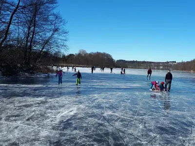 Gäste, die in der Unterkunft Rinser See-Hof übernachten