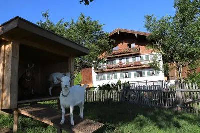 Das Gebäude in dem sich der Bauernhof befindet