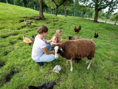 Tiere in diesem Bauernhof oder in der Nähe