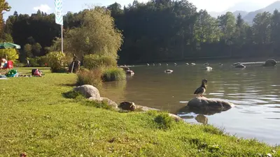Naturlandschaft in der Nähe der Ferienwohnung