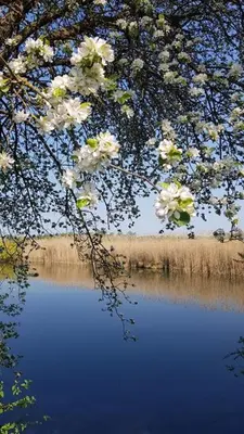 Naturlandschaft in der Nähe der Ferienwohnung