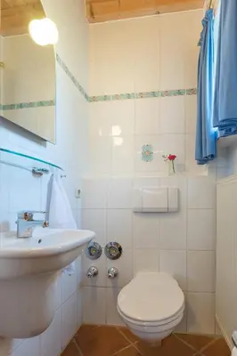 Ein Badezimmer in der Unterkunft Ferienhaus Alp Chalet