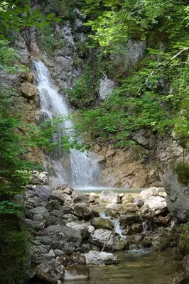 Naturlandschaft in der Nähe der Ferienwohnung