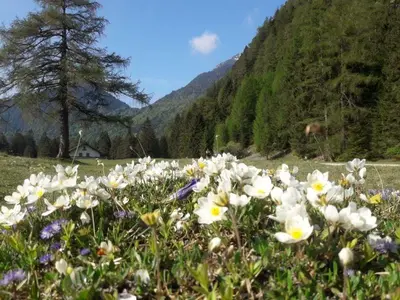 Naturlandschaft in der Nähe der Ferienwohnung