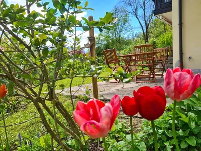 Ein Garten an der Unterkunft Ferienwohnung Berglust